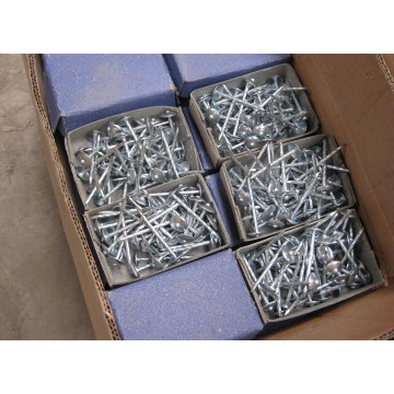 Roofing Nail (NAIL001)